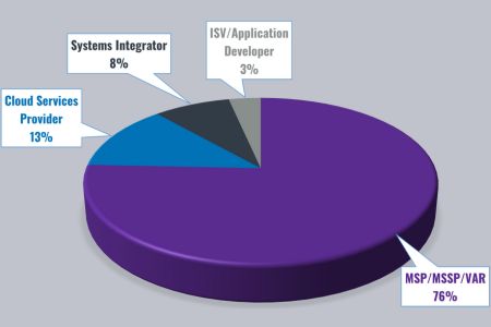 A pie chart showing the percentage of IT partners that fall into the following categories: ISV/Application Developer, 3%, Systems Integrator, 8%, Cloud Services Provider 13%, and MSP/MSSP/VAR, 76%